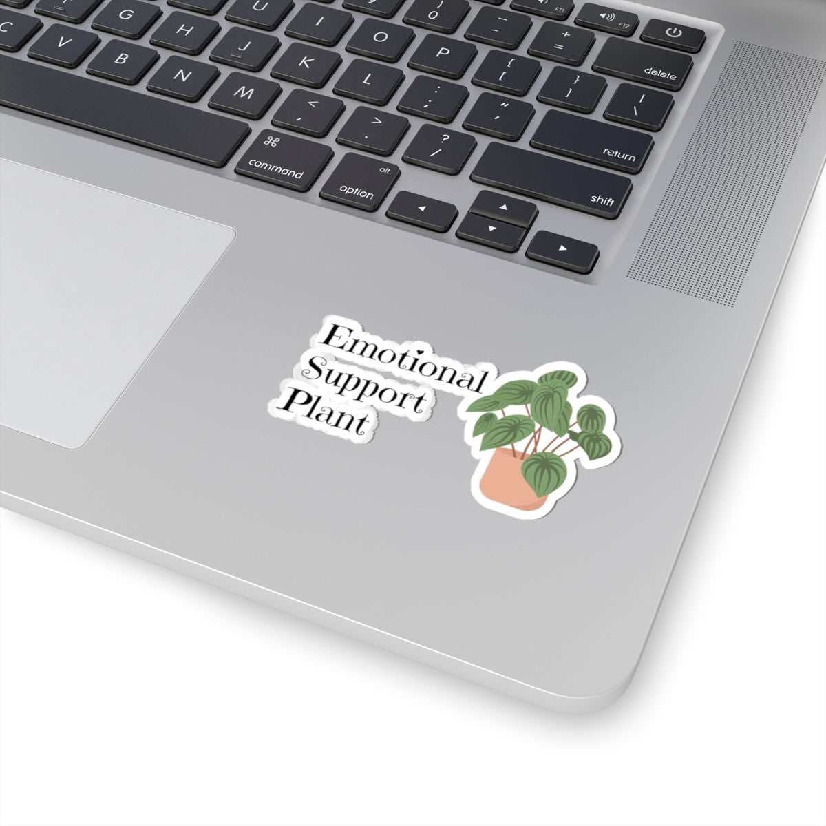 Plant Kiss-Cut Stickers, Cute Succulent, Laptop Décor, Nature Lover Gift, Fun Home Decor, Greenery Sticker