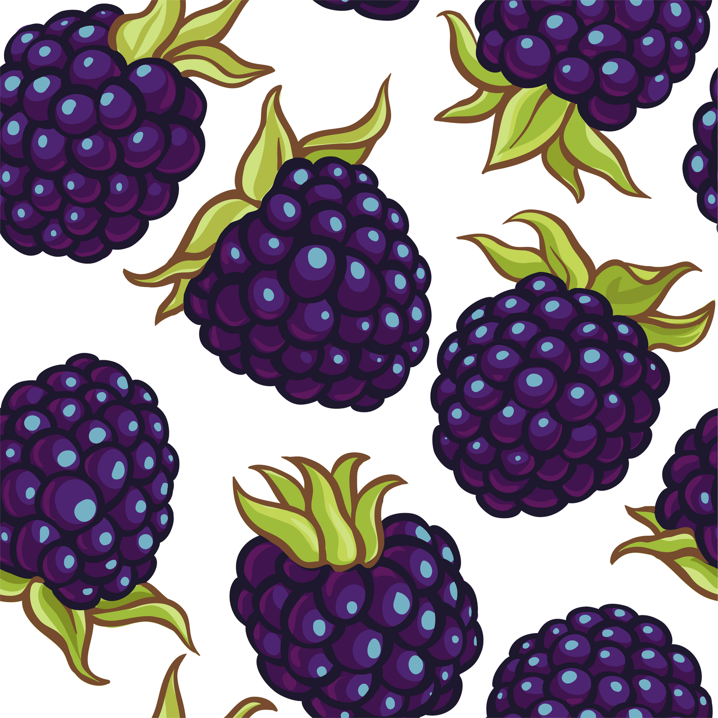 Blackberries Sipper Glass at Orange Moon