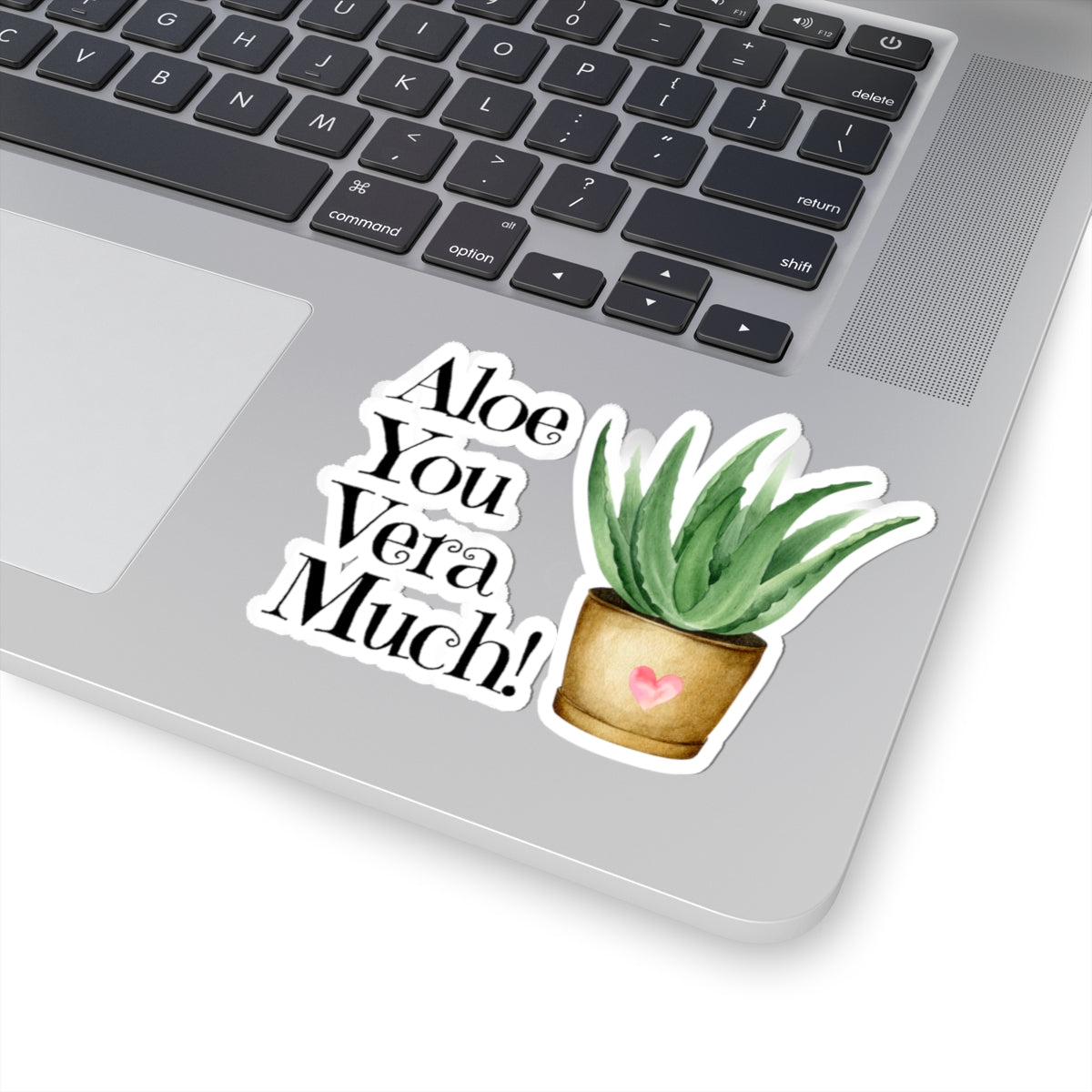 Aloe You Vera Much Plant Kiss-Cut Stickers, Cute Succulent, Laptop Décor, Nature Lover Gift, Fun Home Decor, Greenery Sticker Pack