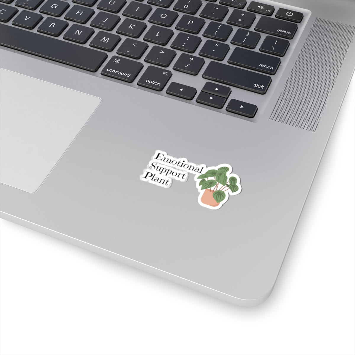 Plant Kiss-Cut Stickers, Cute Succulent, Laptop Décor, Nature Lover Gift, Fun Home Decor, Greenery Sticker