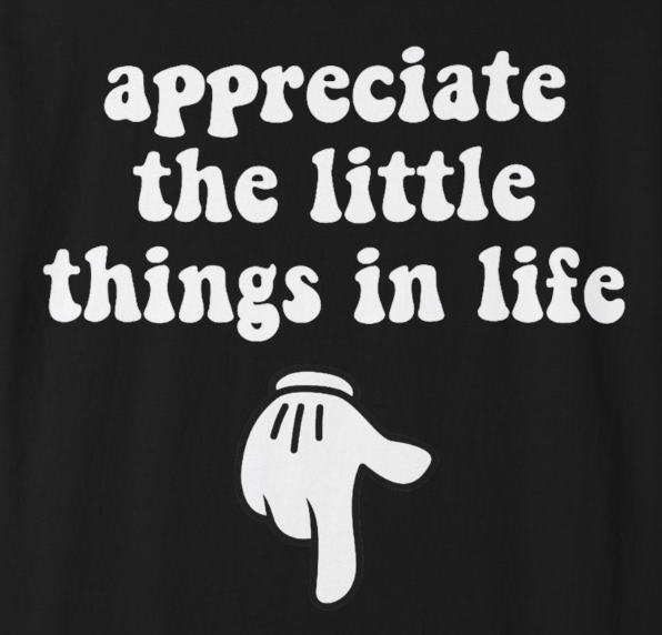 Little Things T-Shirt, Funny Gift for Millennials, Humor Tee for Stress Relief, Casual Everyday Wear, Great Birthday Gift
