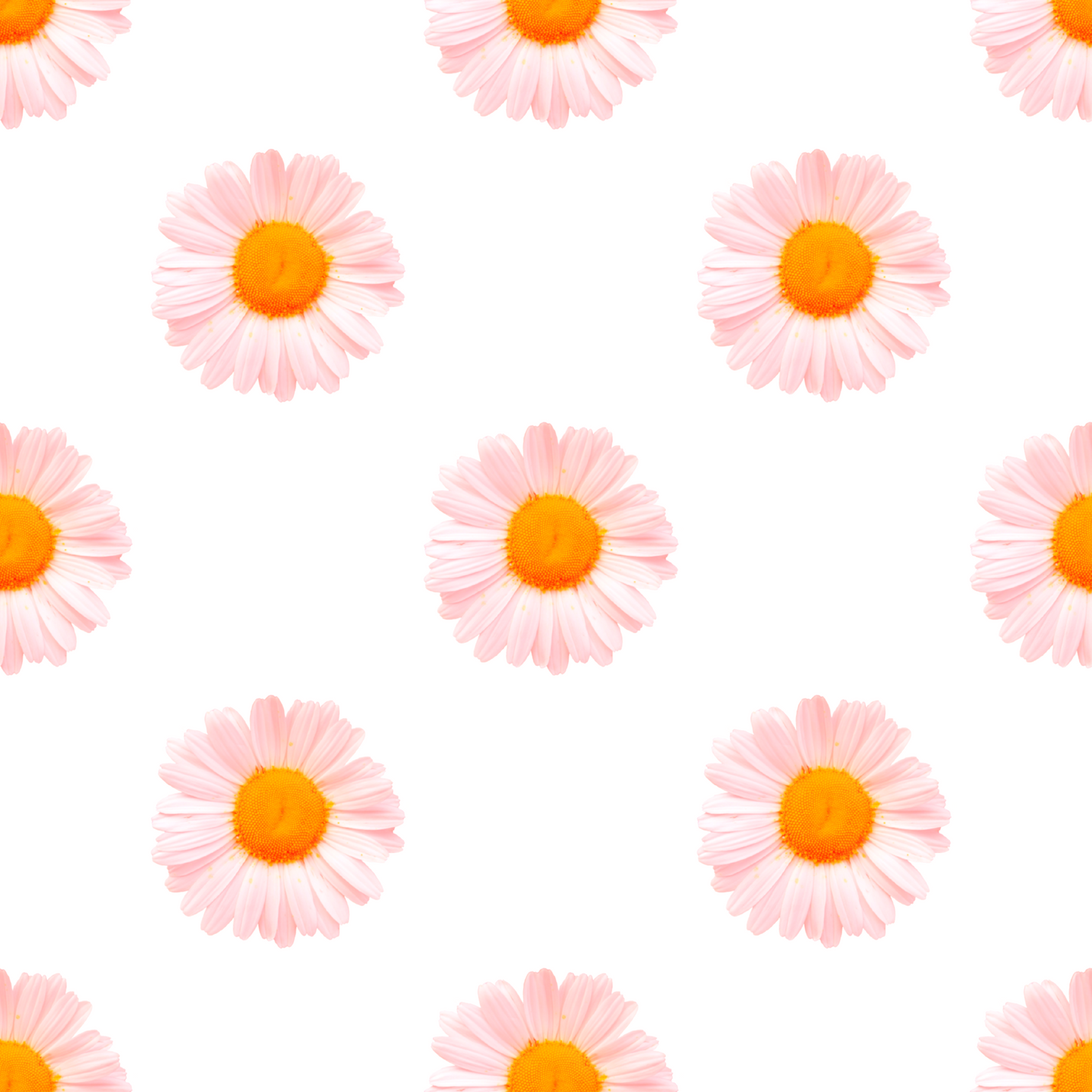 Pink Daisy Blossom Flowers Floral Tote Bag