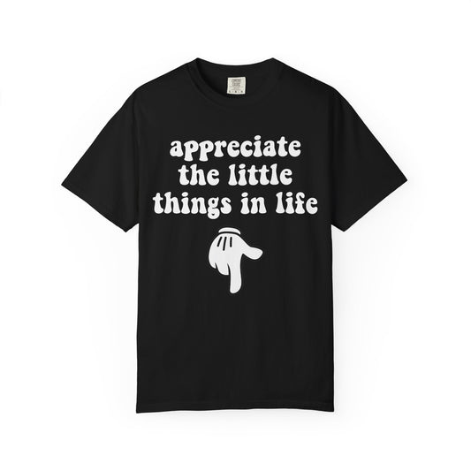 Little Things T-Shirt, Funny Gift for Millennials, Humor Tee for Stress Relief, Casual Everyday Wear, Great Birthday Gift