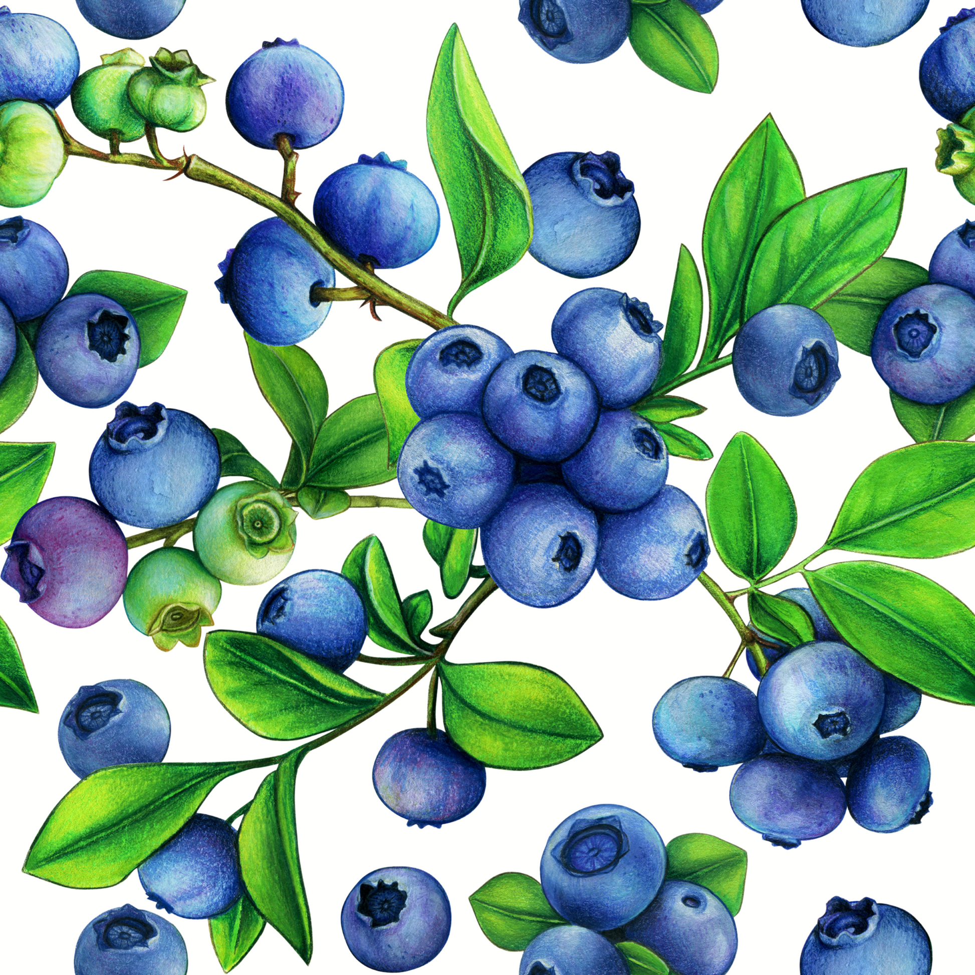 Blueberry Plant Sipper Glass at Orange Moon