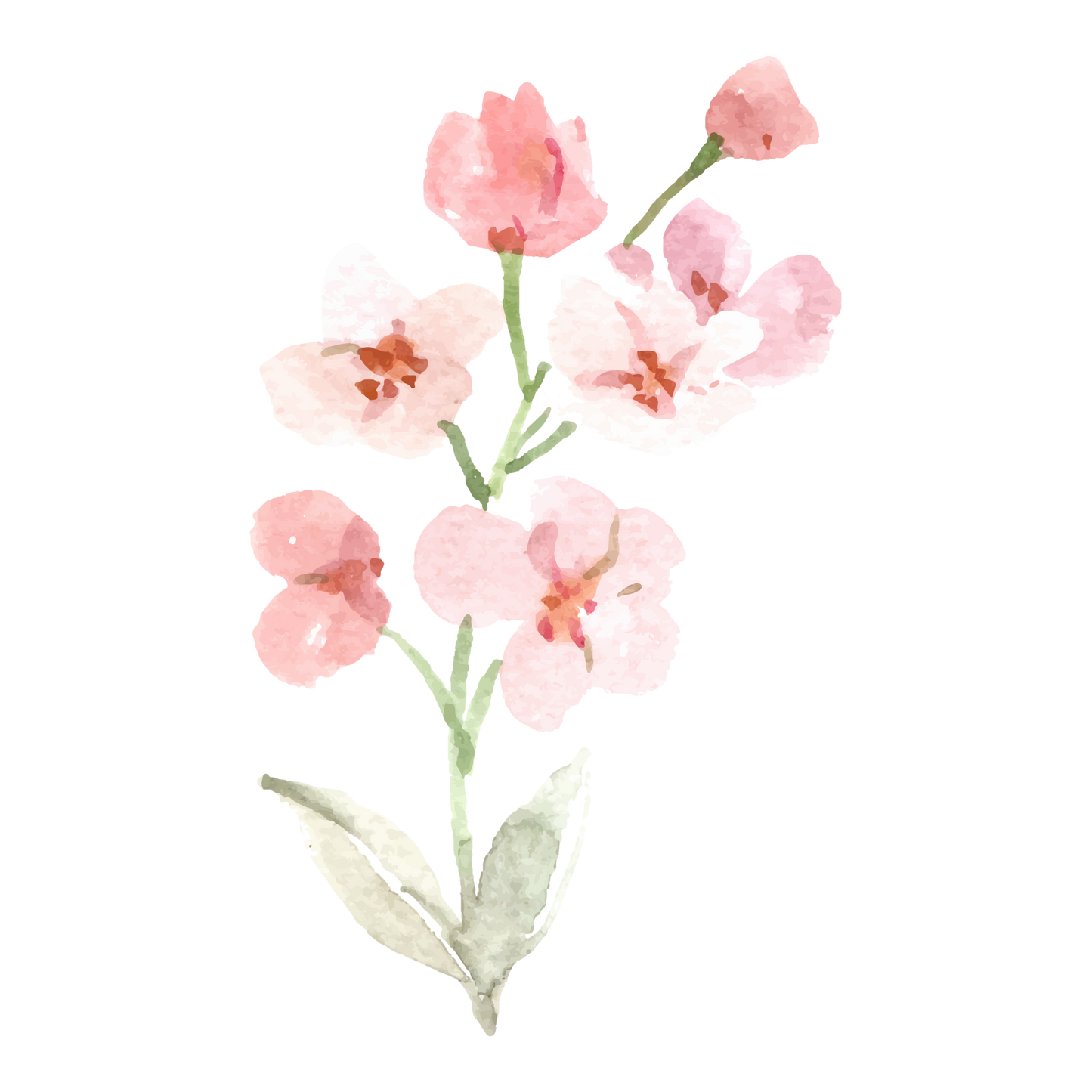 Floral Sipper Glass