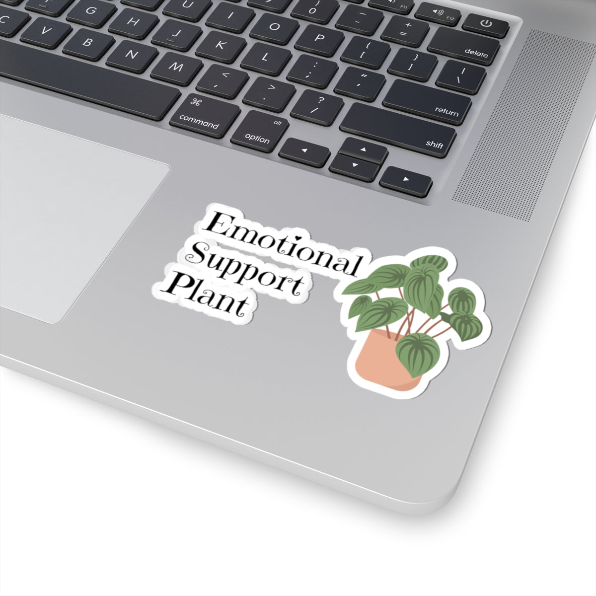Plant Kiss-Cut Stickers, Cute Succulent, Laptop Décor, Nature Lover Gift, Fun Home Decor, Greenery Sticker